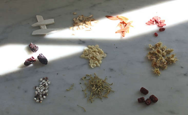 chinese medicinal herbs 1 ; Gardenista